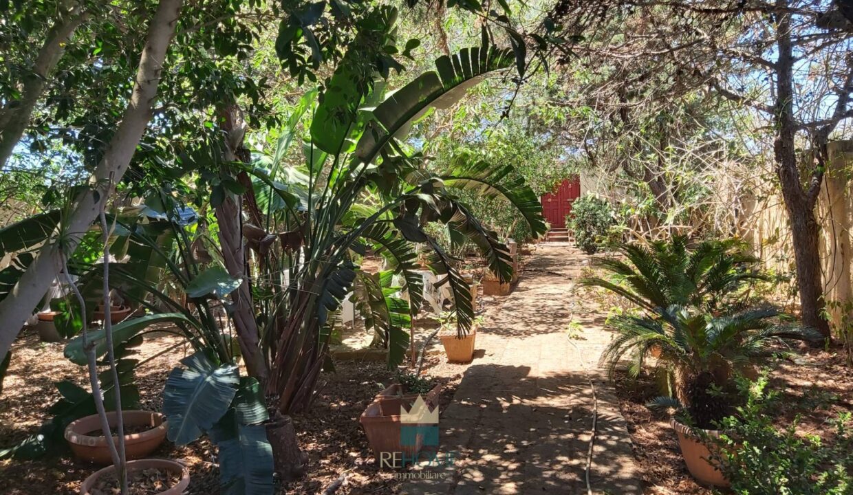 20220727122903-3 (2)