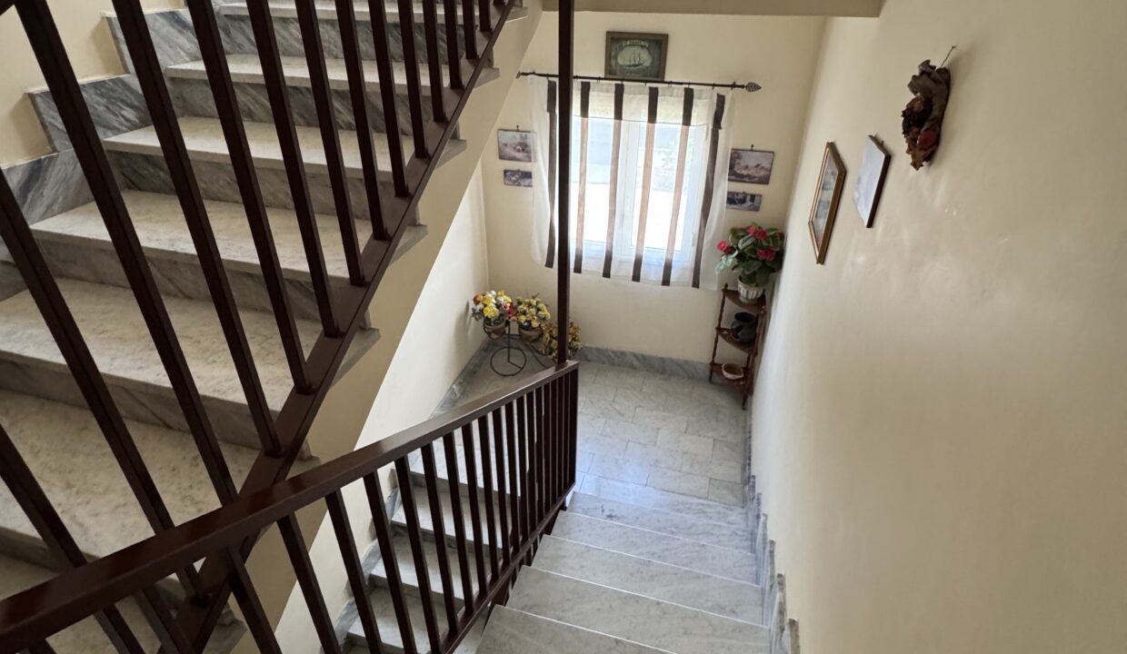 image00007