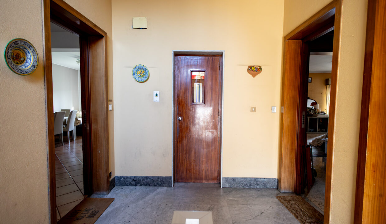 6Y6A7365