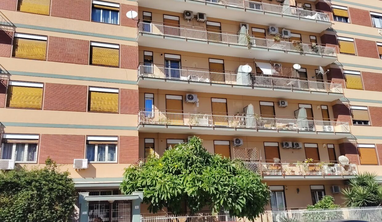 WhatsApp Image 2026-10-02 at 16.03.12