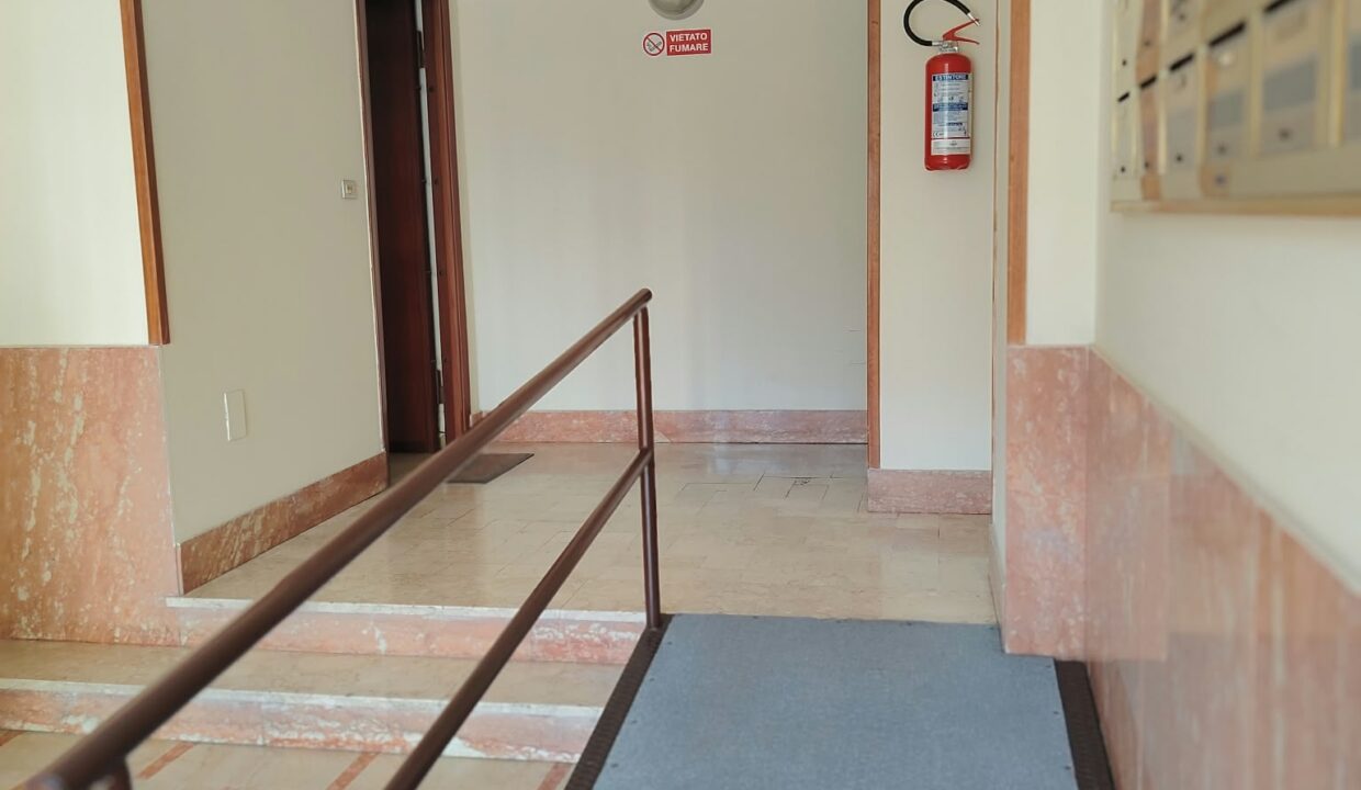 WhatsApp Image 2026-10-02 at 16.03.15 (7)